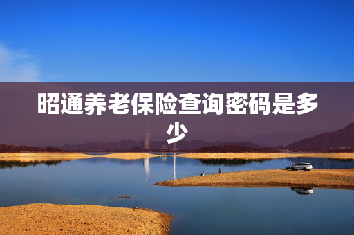 昭通养老保险查询密码是多少