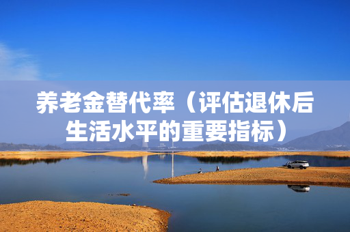 养老金替代率（评估退休后生活水平的重要指标）