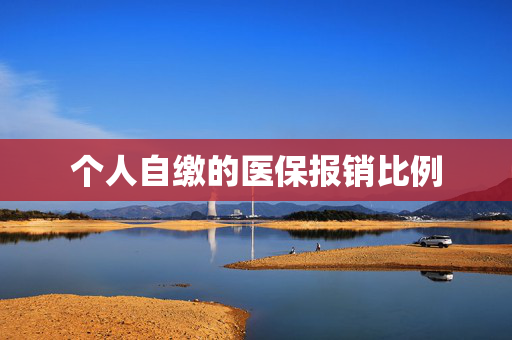 个人自缴的医保报销比例