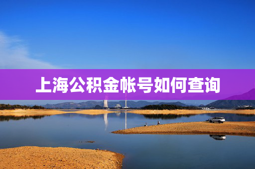 上海公积金帐号如何查询