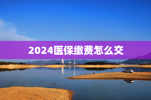2024医保缴费怎么交