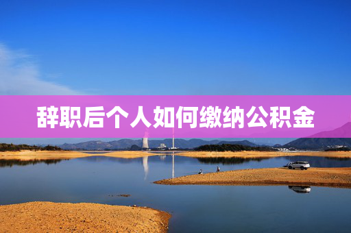 辞职后个人如何缴纳公积金