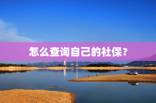 怎么查询自己的社保？