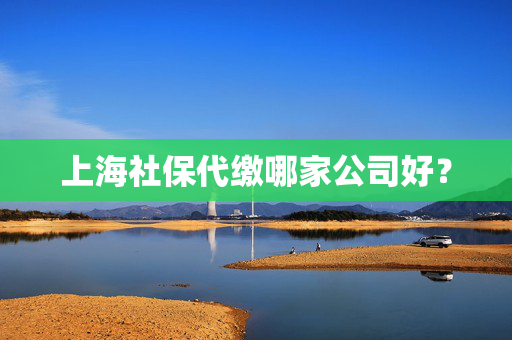上海社保代缴哪家公司好？
