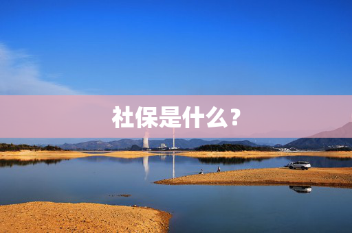 社保是什么？