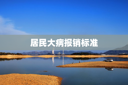 居民大病报销标准