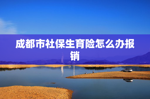 成都市社保生育险怎么办报销