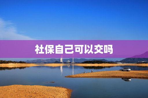 社保自己可以交吗