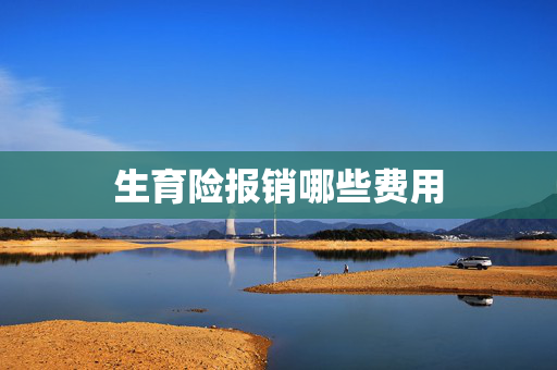生育险报销哪些费用