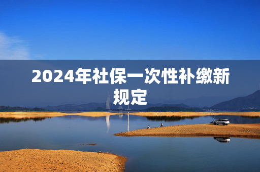 2024年社保一次性补缴新规定