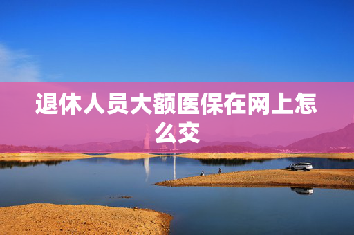 退休人员大额医保在网上怎么交