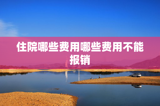 住院哪些费用哪些费用不能报销