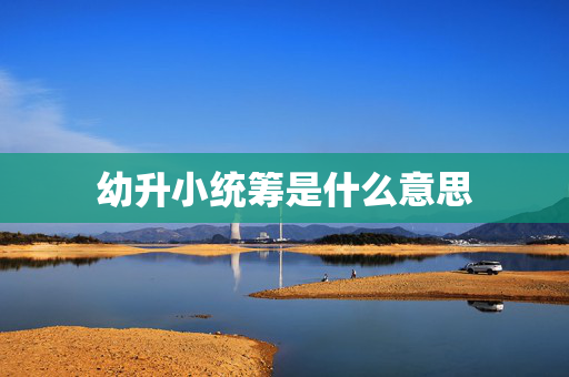 幼升小统筹是什么意思