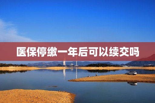 医保停缴一年后可以续交吗