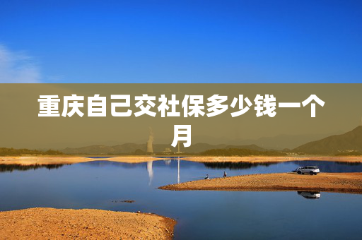 重庆自己交社保多少钱一个月