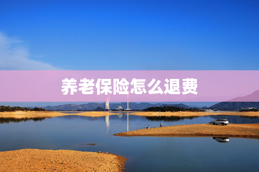 养老保险怎么退费