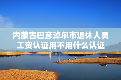 内蒙古巴彦淖尔市退休人员工资认证用不用什么认证