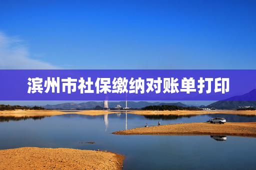滨州市社保缴纳对账单打印