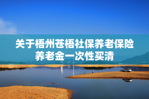 关于梧州苍梧社保养老保险养老金一次性买清