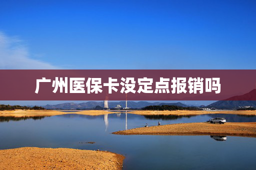 广州医保卡没定点报销吗