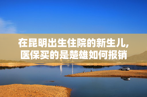 在昆明出生住院的新生儿,医保买的是楚雄如何报销