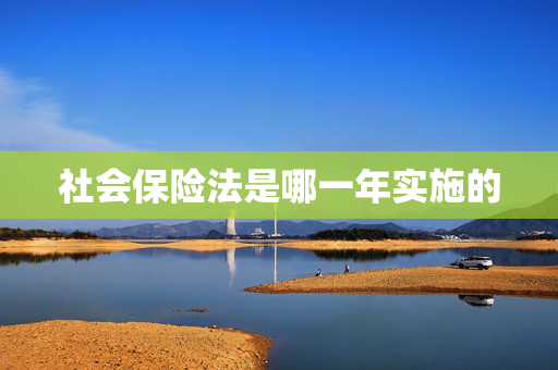 社会保险法是哪一年实施的