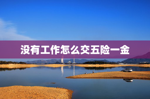 没有工作怎么交五险一金