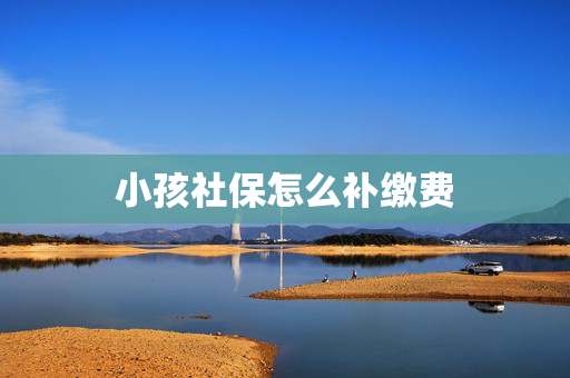 小孩社保怎么补缴费