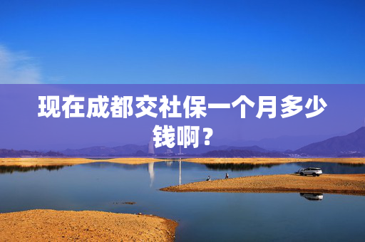 现在成都交社保一个月多少钱啊？