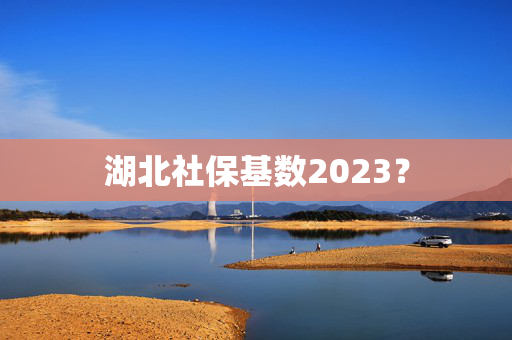 湖北社保基数2023？