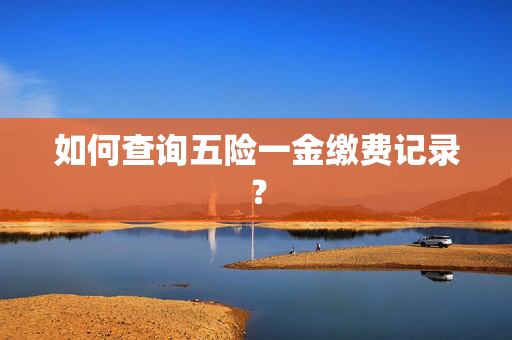 如何查询五险一金缴费记录？