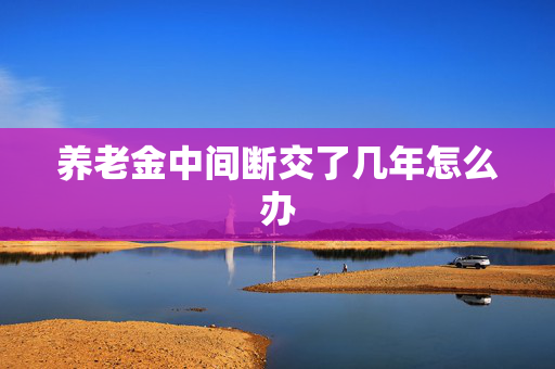 养老金中间断交了几年怎么办