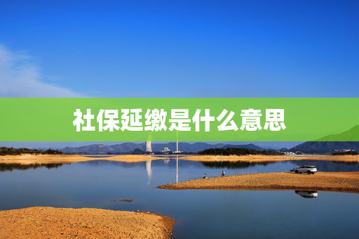 社保延缴是什么意思