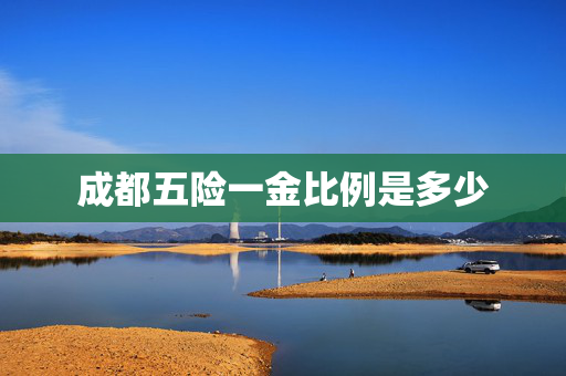 成都五险一金比例是多少