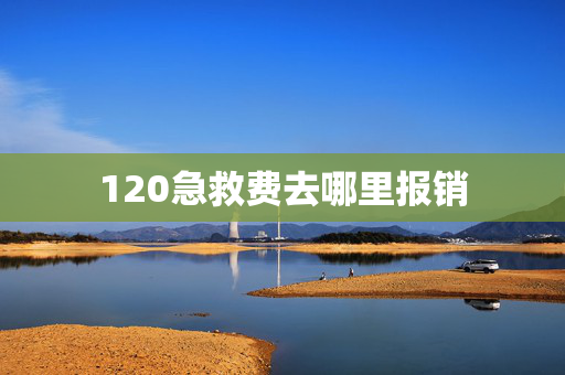 120急救费去哪里报销