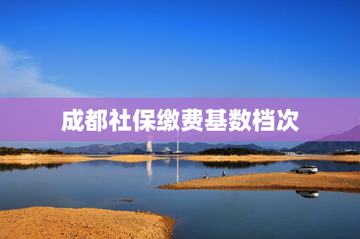 成都社保缴费基数档次
