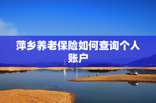 萍乡养老保险如何查询个人账户