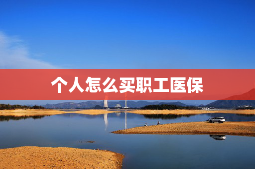 个人怎么买职工医保