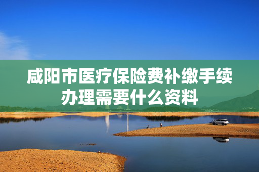 咸阳市医疗保险费补缴手续办理需要什么资料