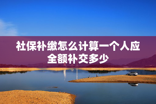 社保补缴怎么计算一个人应全额补交多少