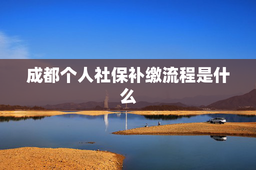 成都个人社保补缴流程是什么