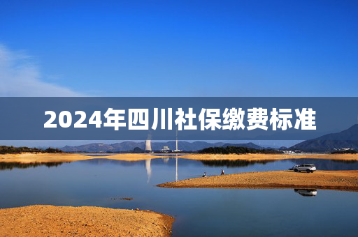 2024年四川社保缴费标准