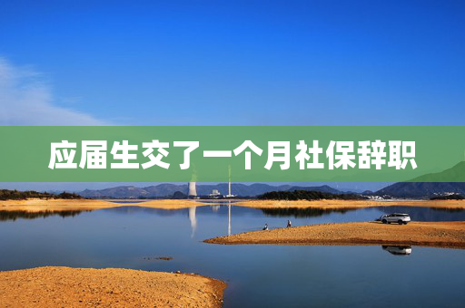 应届生交了一个月社保辞职