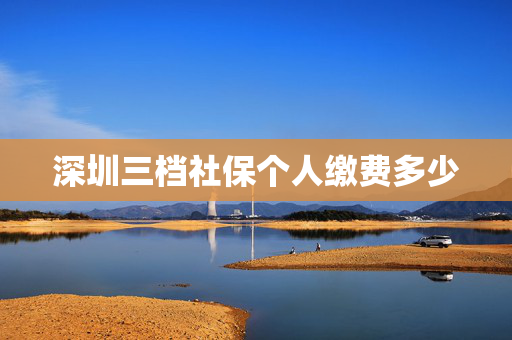 深圳三档社保个人缴费多少