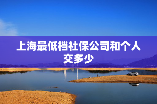 上海最低档社保公司和个人交多少