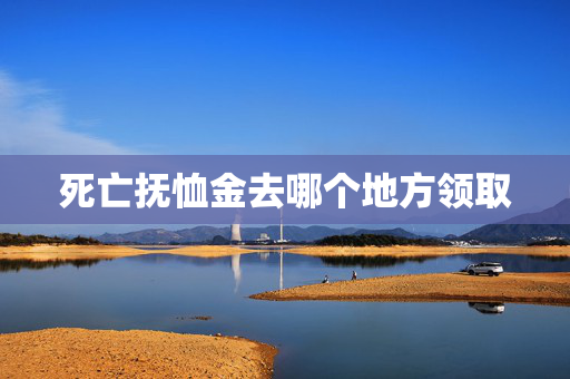 死亡抚恤金去哪个地方领取