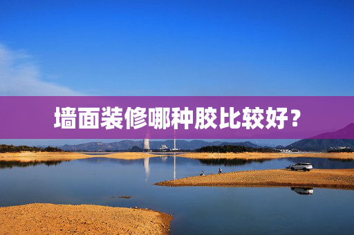 墙面装修哪种胶比较好？