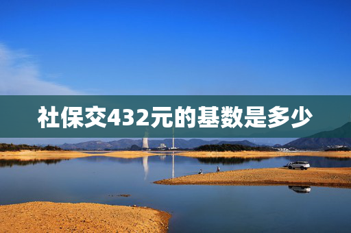 社保交432元的基数是多少