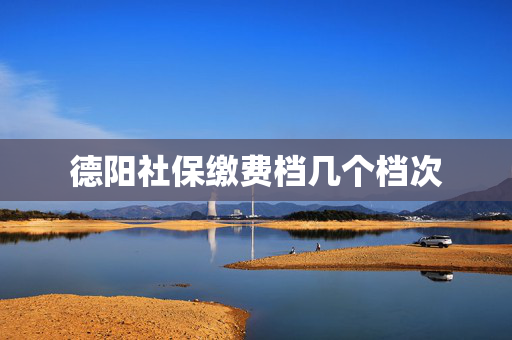 德阳社保缴费档几个档次