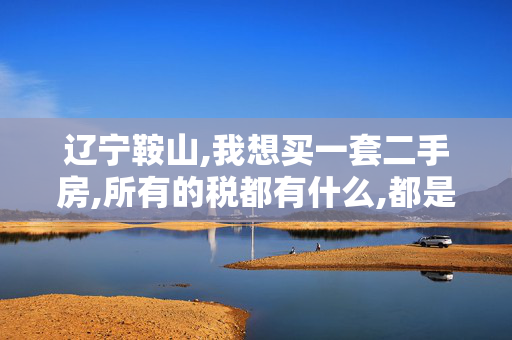 辽宁鞍山,我想买一套二手房,所有的税都有什么,都是多少...